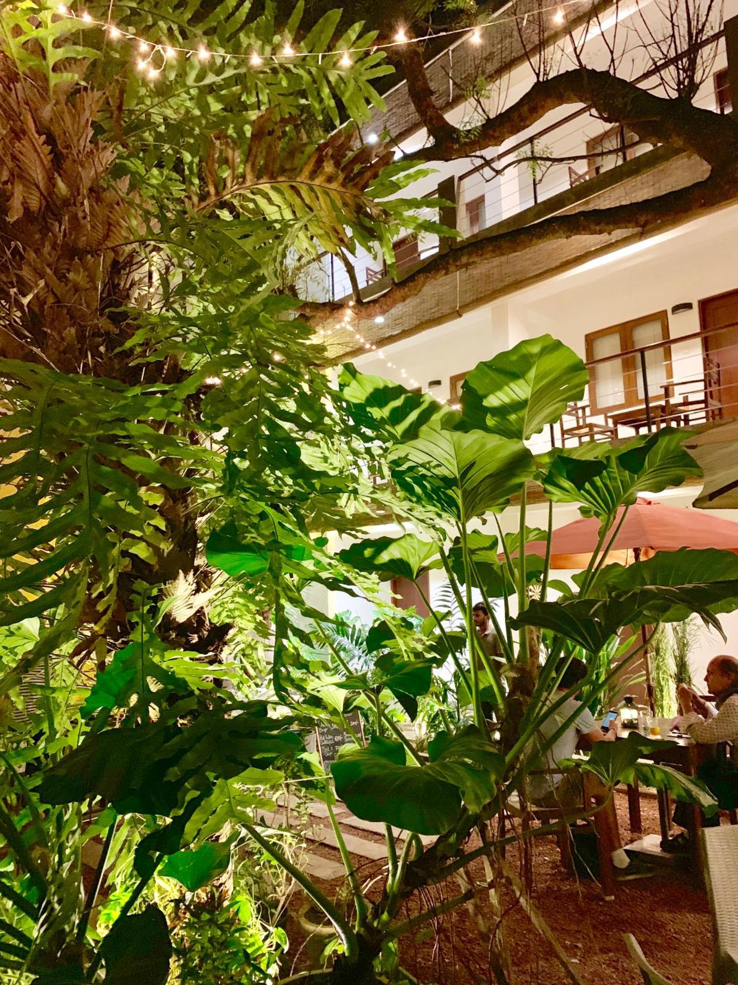 Sayura House Hotel Kolombo Bagian luar foto